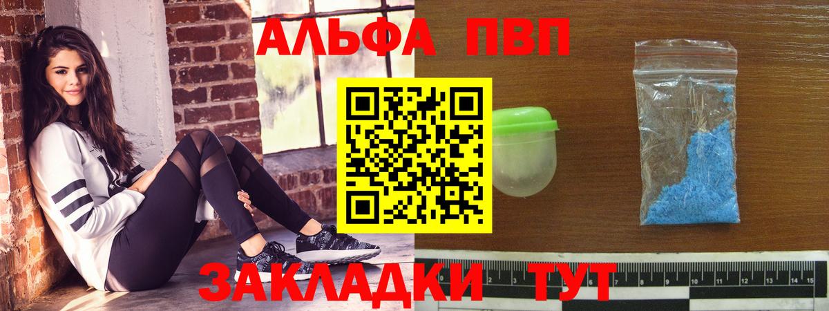 Альфа ПВП СК КРИС Элиста