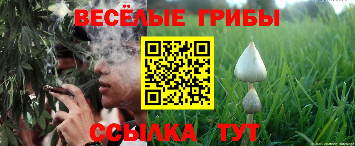 Галлюциногенные грибы прущие грибы Элиста