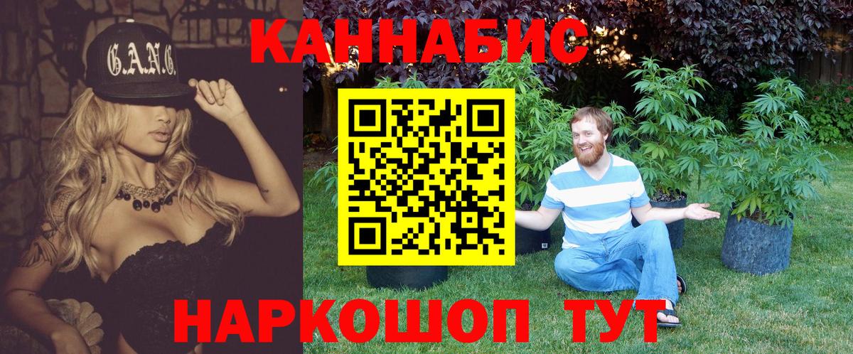 Канабис планчик Элиста